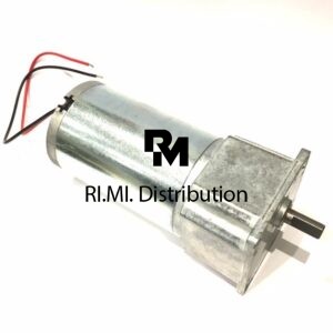 MOTORIDUTTORE 287 RPM 24V DC