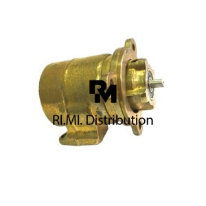 Pompa rotativa a paletta Faema 250 L +FL