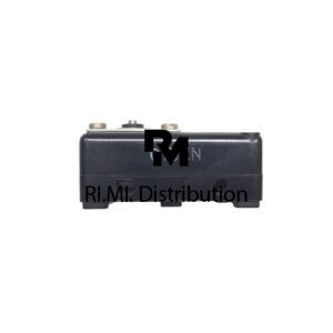 Microinterruttore C1BZN