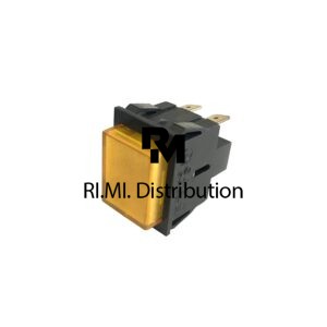 Pulsante 250V 16A 2F