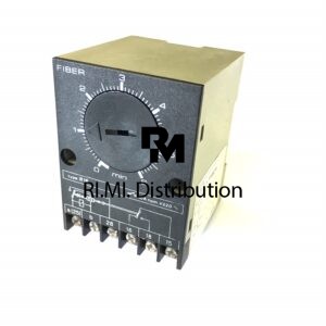 TIMER FIBER 24 V