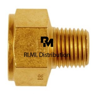 Intermedio maschio F/M 1/8-1/8 NPT